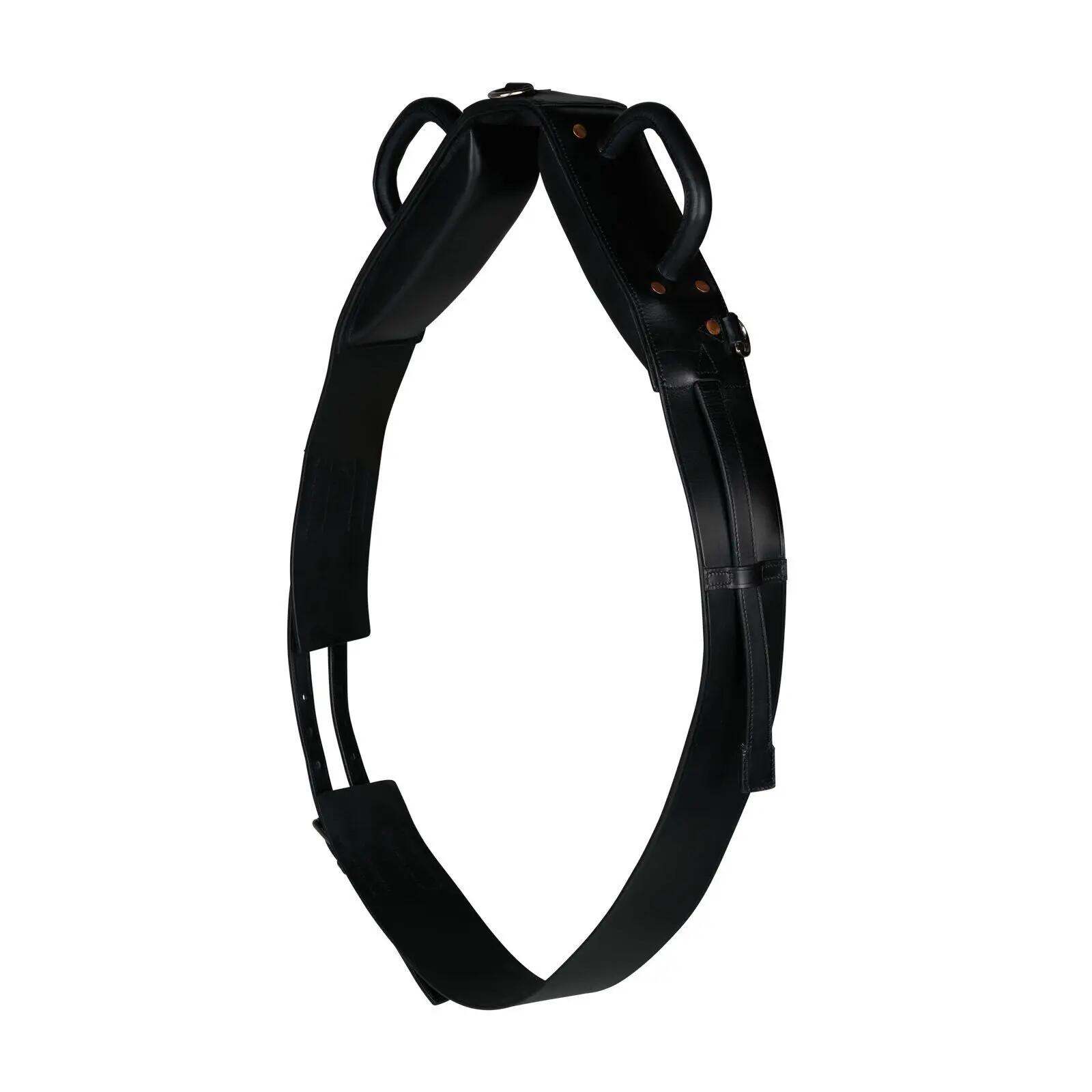 Lunga per lungo per cavallo sella da volteggio Horze 1/3