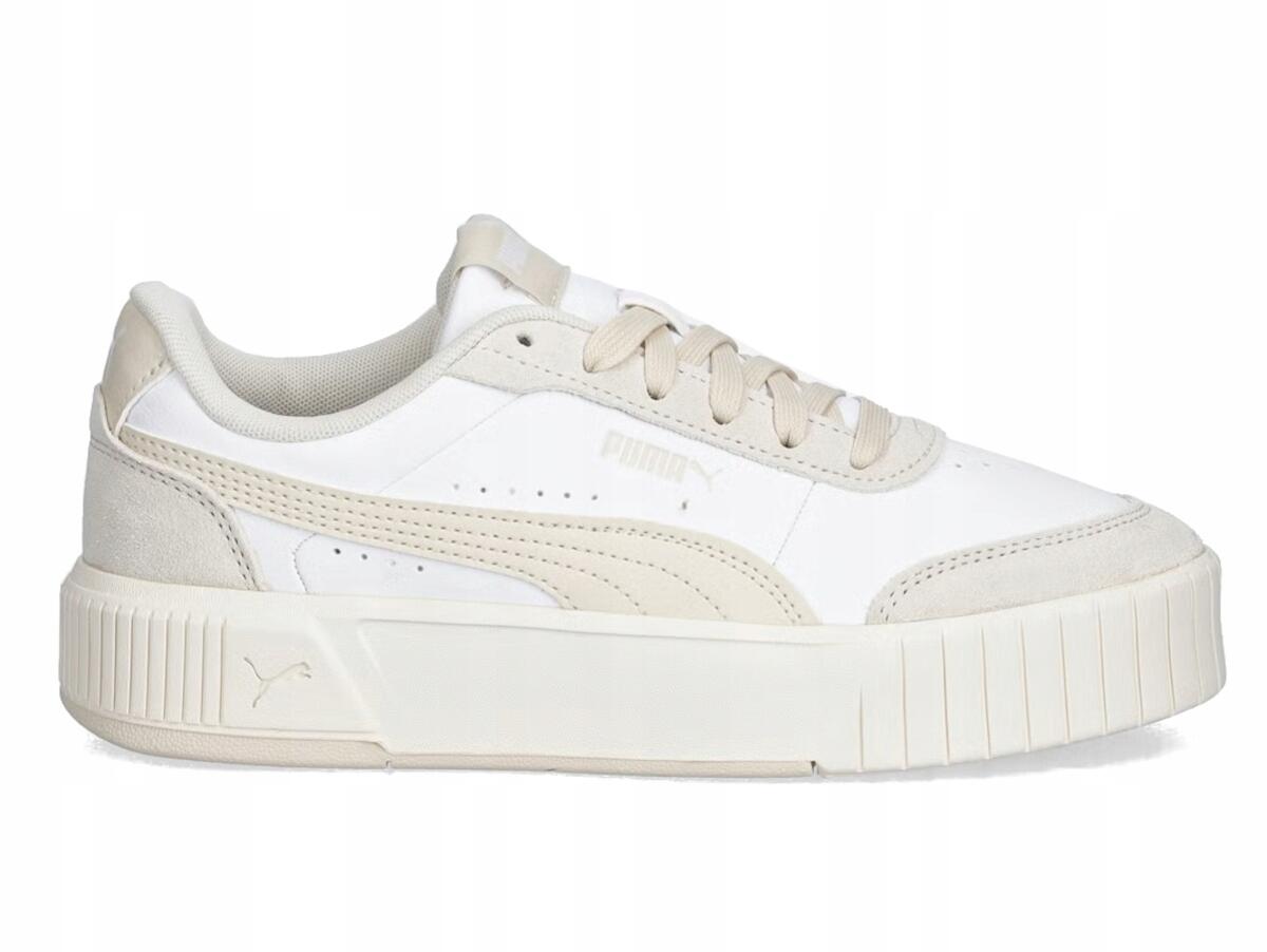 PUMA picture