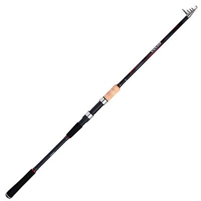 Cane Shimano Sienna AR TEGT Glued 30-60g