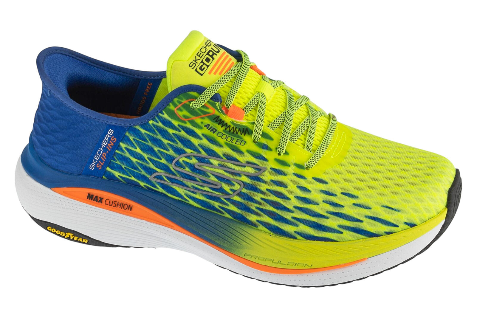 SKECHERS picture