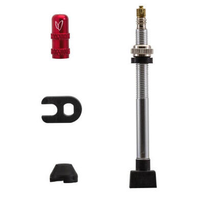 Caffélatex tubeless ventiel 70mm (x2) - zilver