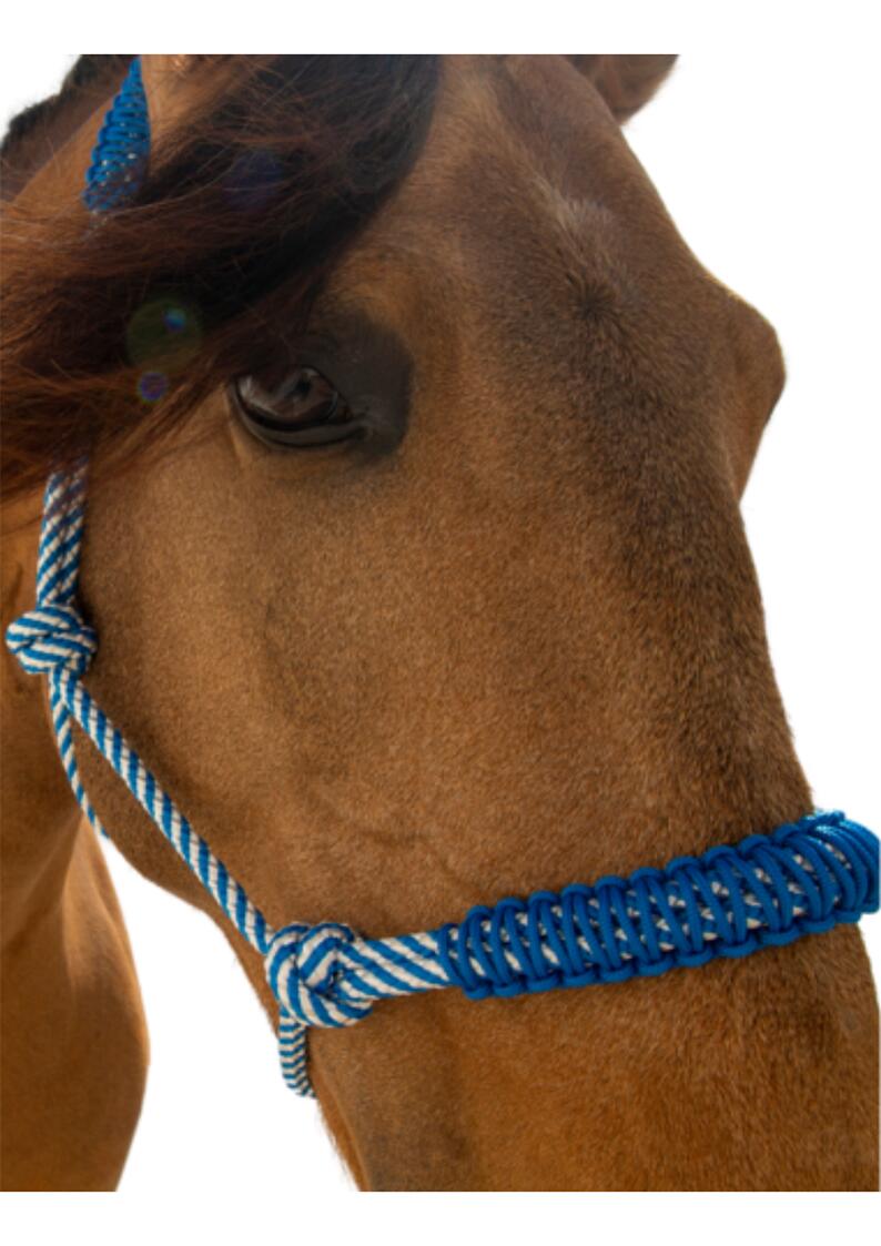 Cabezada de cuerda H3 | Adornos hilo  | Color Azul/blanco 2/5