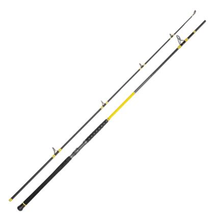 Wędka Daiwa Black Widow Extension Carp 3,00 m / 3 funty, 2 sztuki