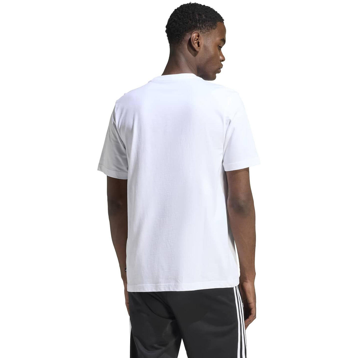 Herren T-Shirt M C ICON TEE 5/7