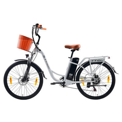YY26ST Bici elettrica 26'' 36V 250W Shimano 6 vel freni disco 75 km