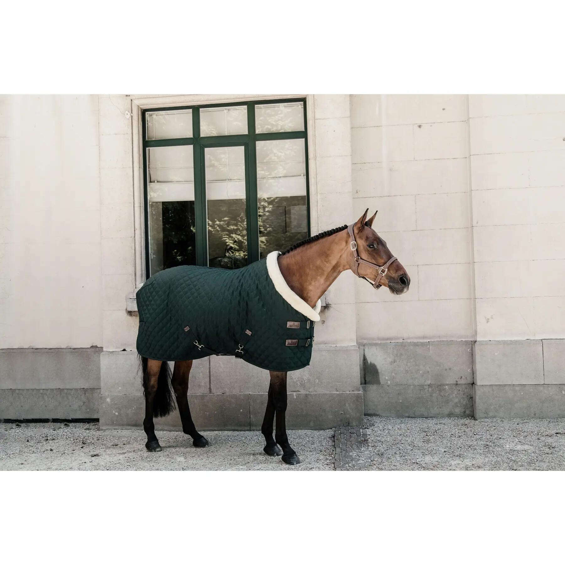 Coperta da box per cavalli di presentazione Kentucky 160 g 2/5
