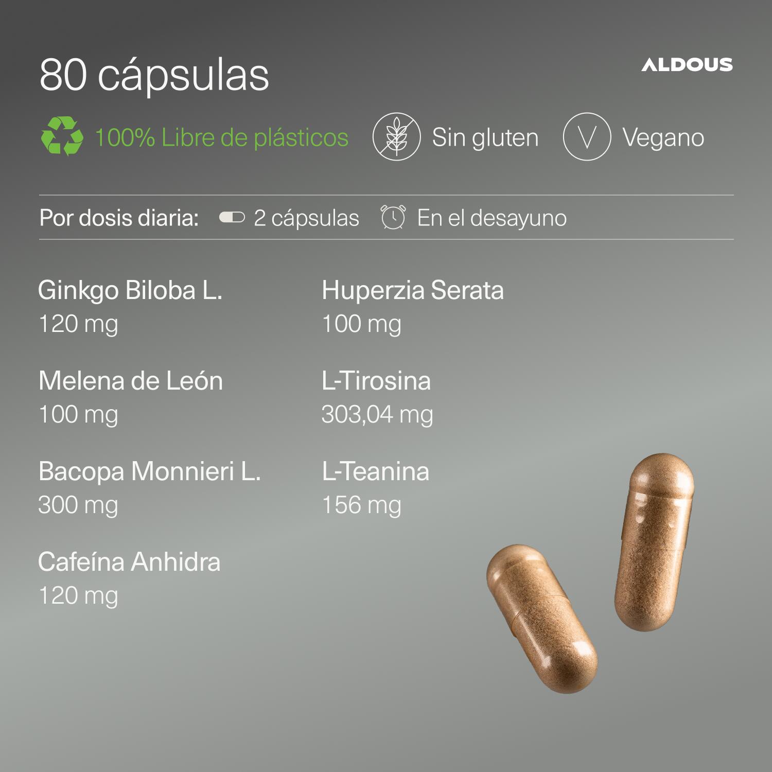 Ginkgo Biloba, Melena de León, Cafeína, Bacopa, Tirosina, Teanina y Huperzina A 3/7