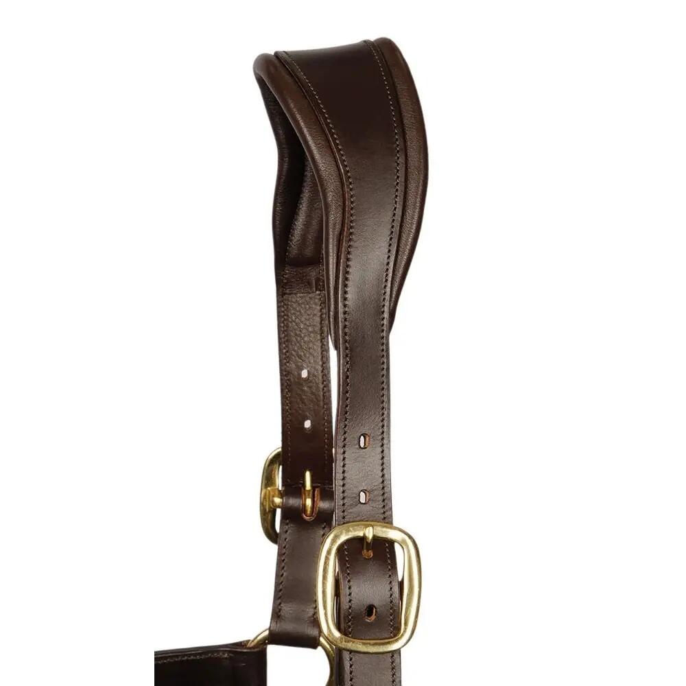 Anatomisch lederen halster voor paarden Harry's Horse 2/2