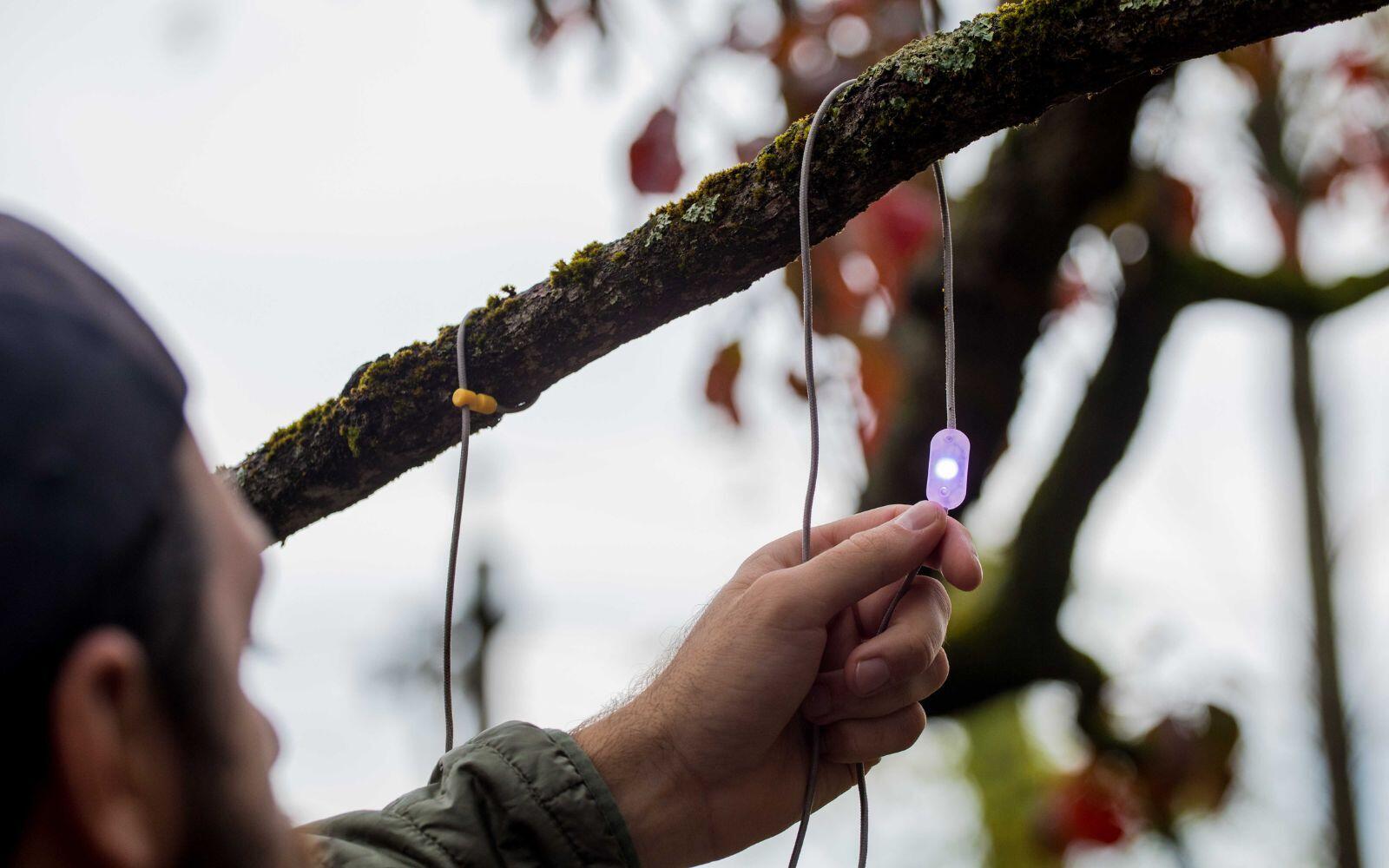Grinalda de Luzes Solar MPOWERD BioLite Luci Solar String 18' Color 5/7