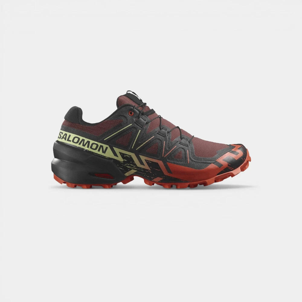SALOMON picture