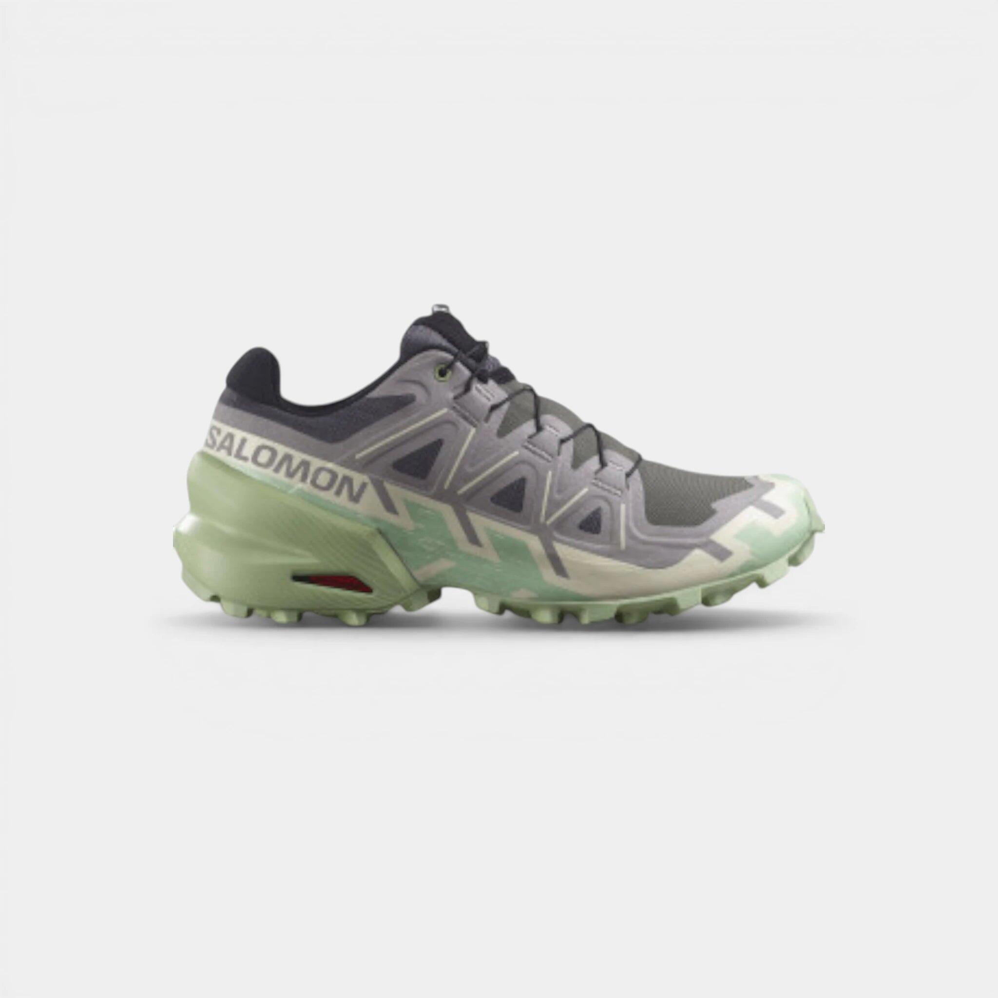 SALOMON picture