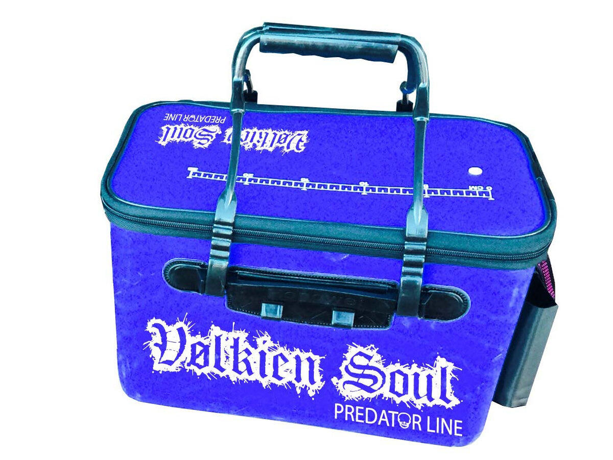 VOLKIEN SOUL picture