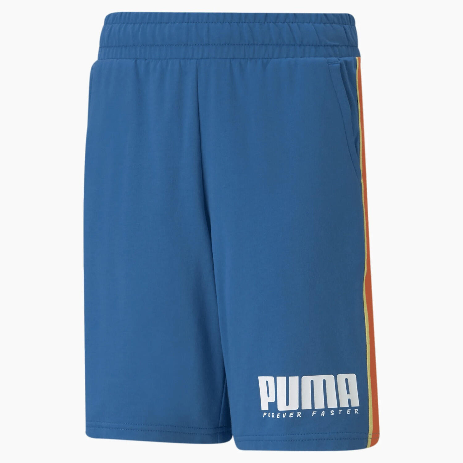 PUMA picture