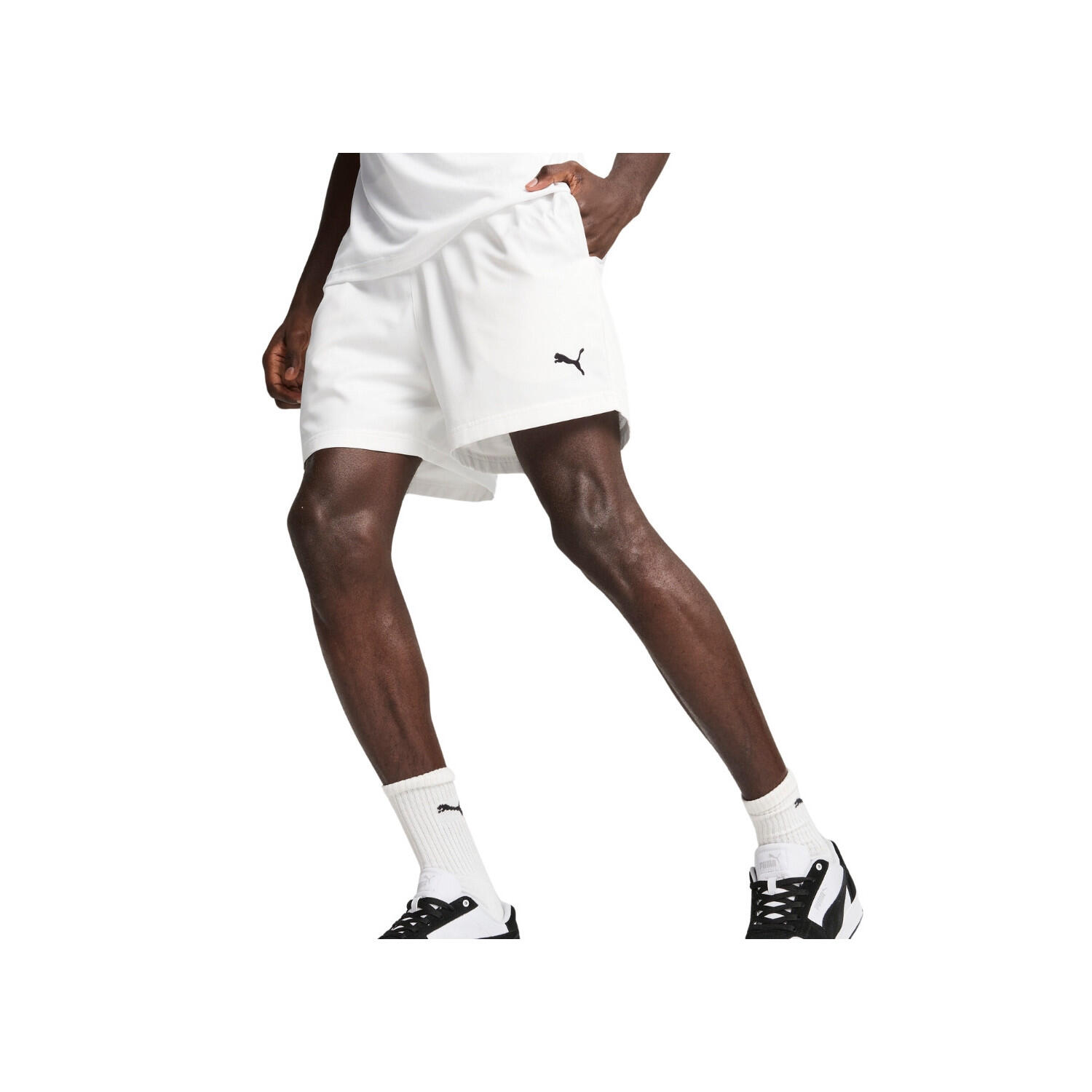 PUMA picture