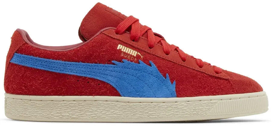 PUMA picture