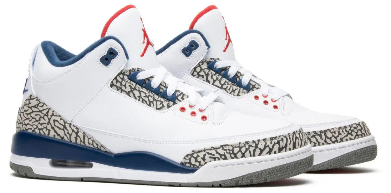 Jordan 3 Retro True Blue (2016) 5/5
