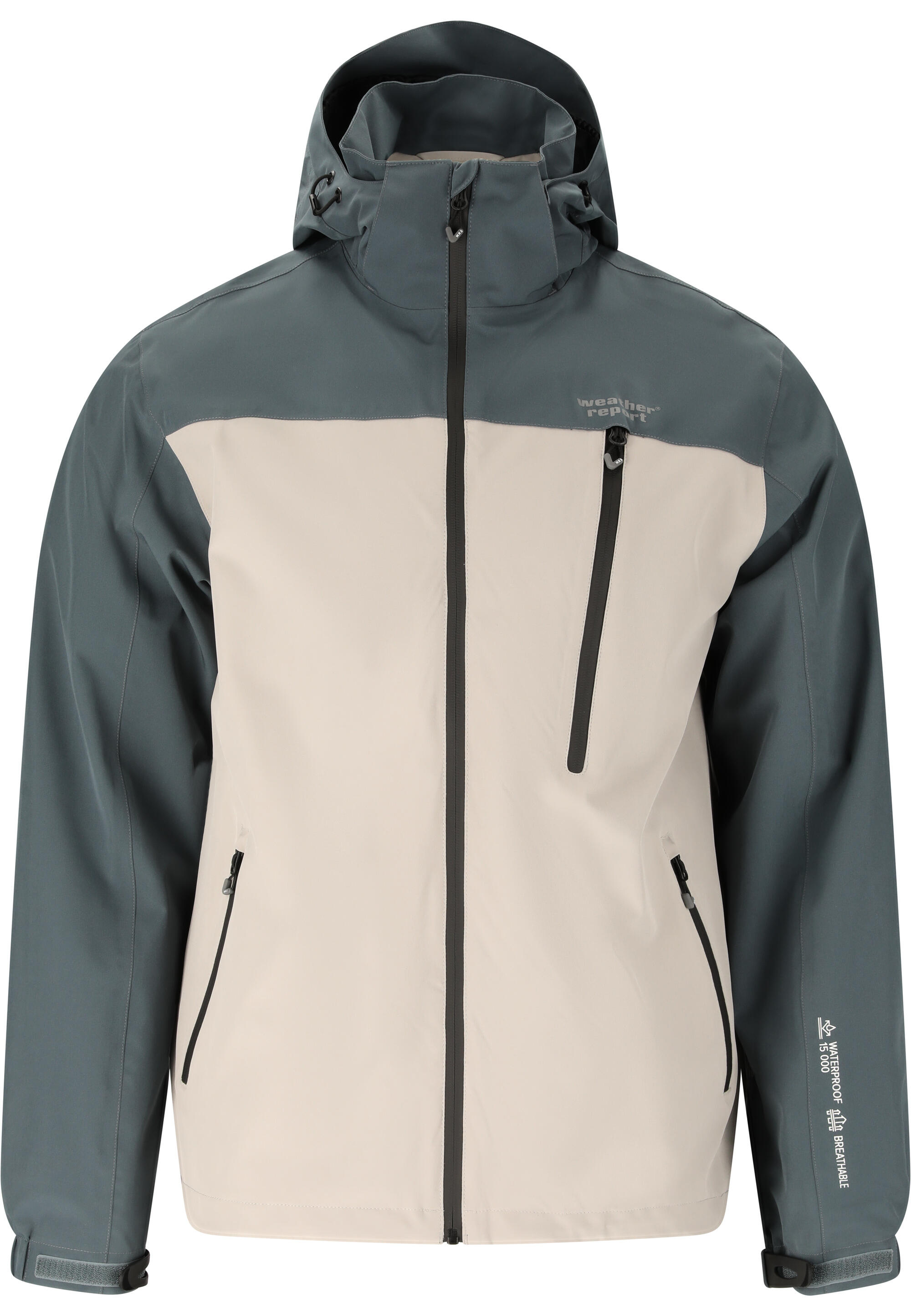 WEATHER REPORT picture