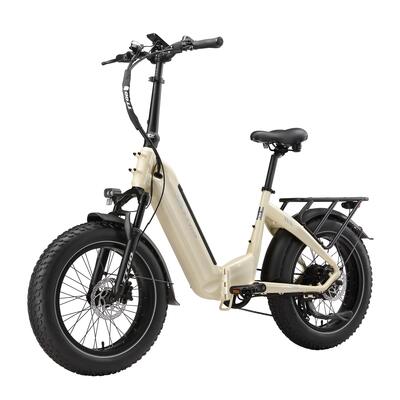 Elektrische fiets voor volwassenen ttgo f6 boost batterij 48v18ah motor 250w