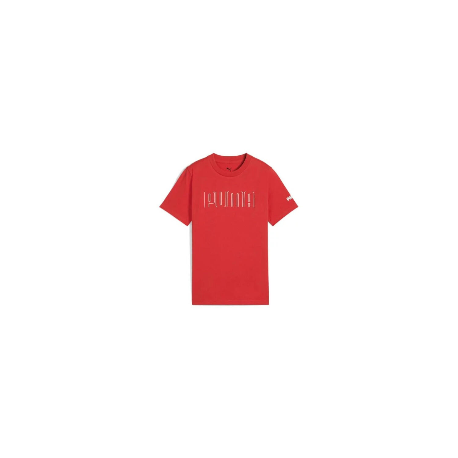 PUMA picture