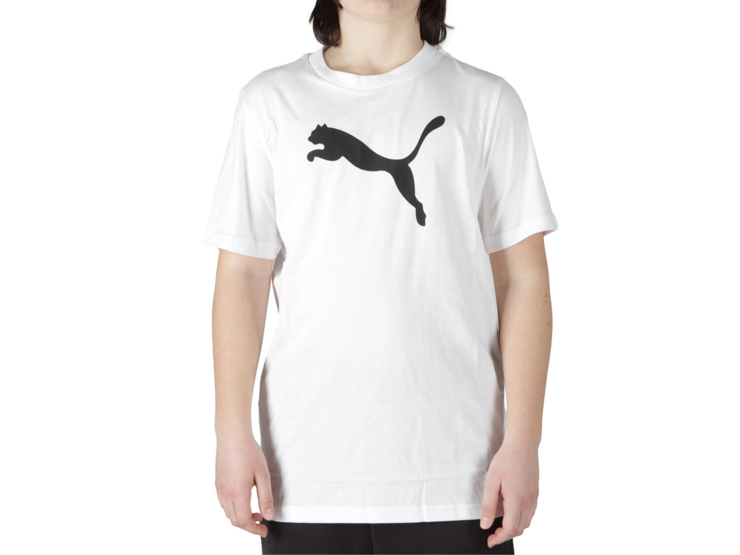 PUMA picture