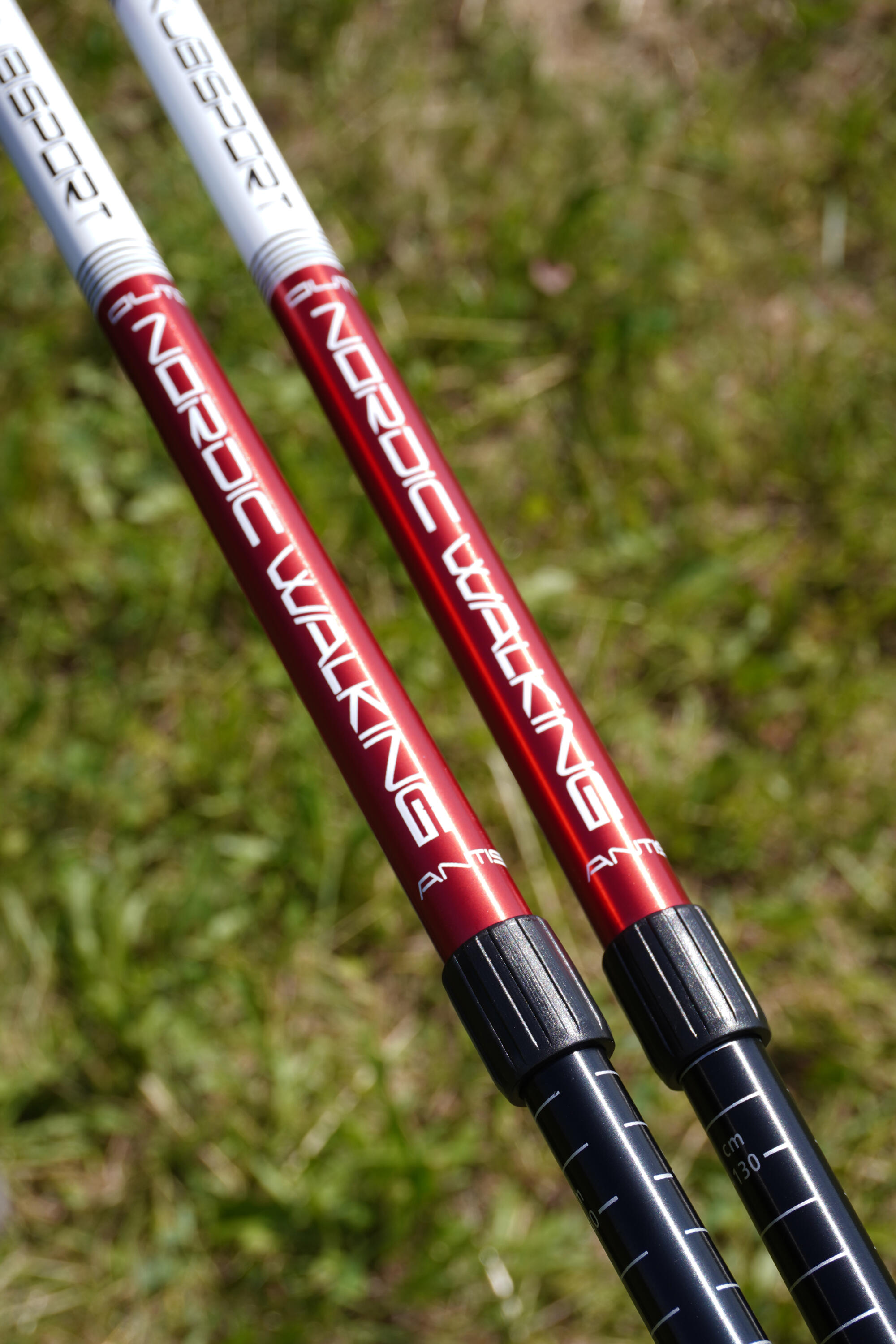 Trekingové hole - 1 pár s příslušenstvím 5/5