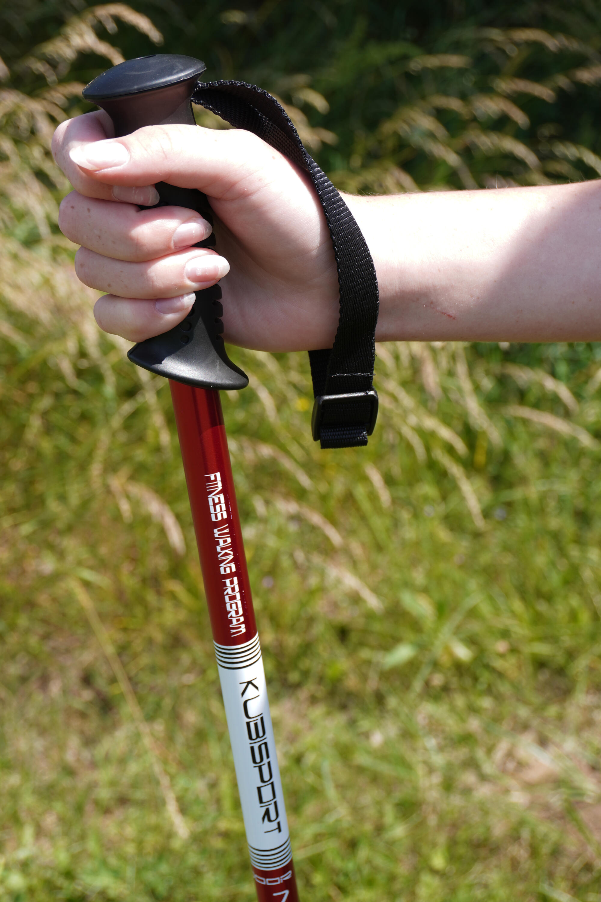 Trekingové hole - 1 pár s příslušenstvím 4/5