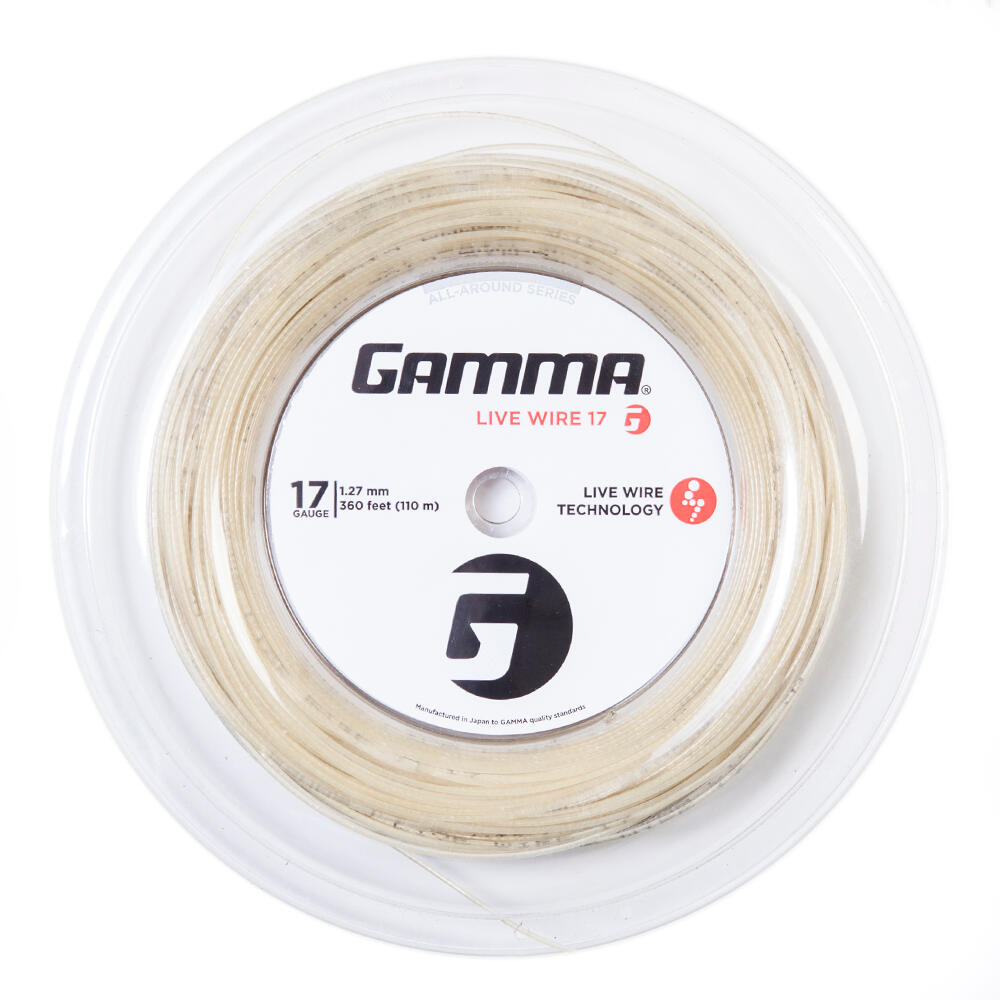 GAMMA picture