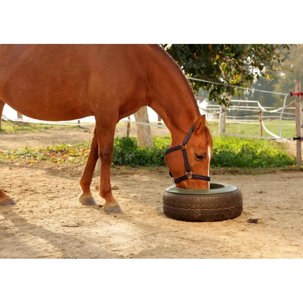 Mangeoire à pneu pour cheval Kerbl 3/3