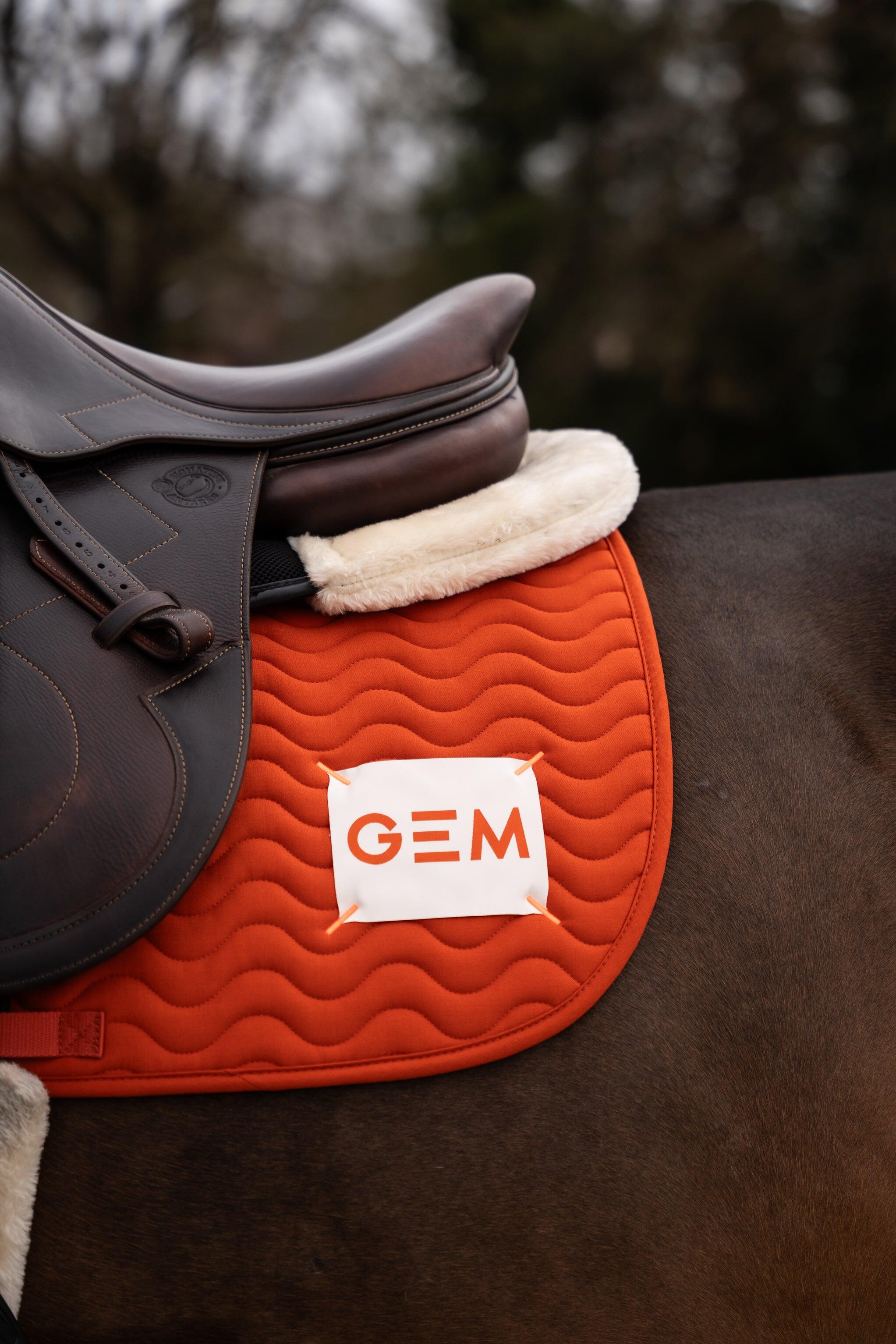 GEM EQUITATION picture