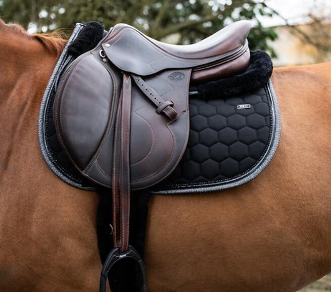 GEM EQUITATION picture