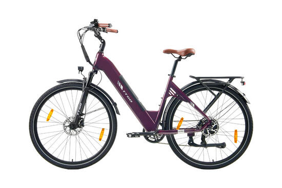 C3Pro E-Bike 28 Zoll 250W 120km Shimano 7-Gang Hydraulische Bremsen