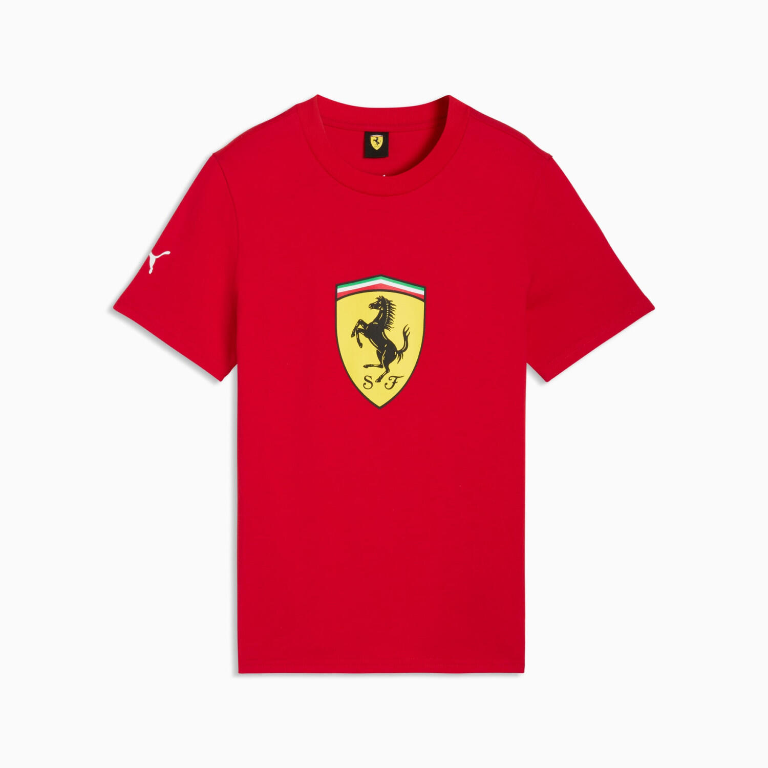 PUMA picture
