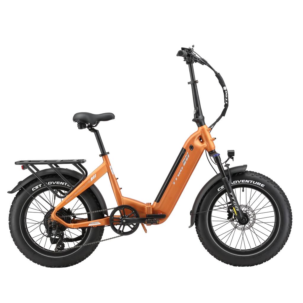 F6Boost 20" Electric Fatbike 250W 48V 18Ah 120km Torque