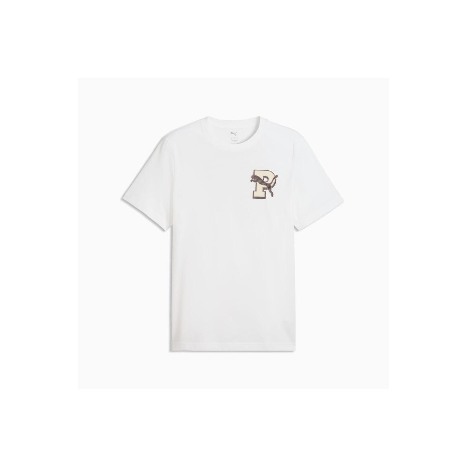 PUMA picture