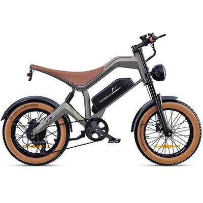 Dyu m20 terrein-e-bike – 250w groot bereik