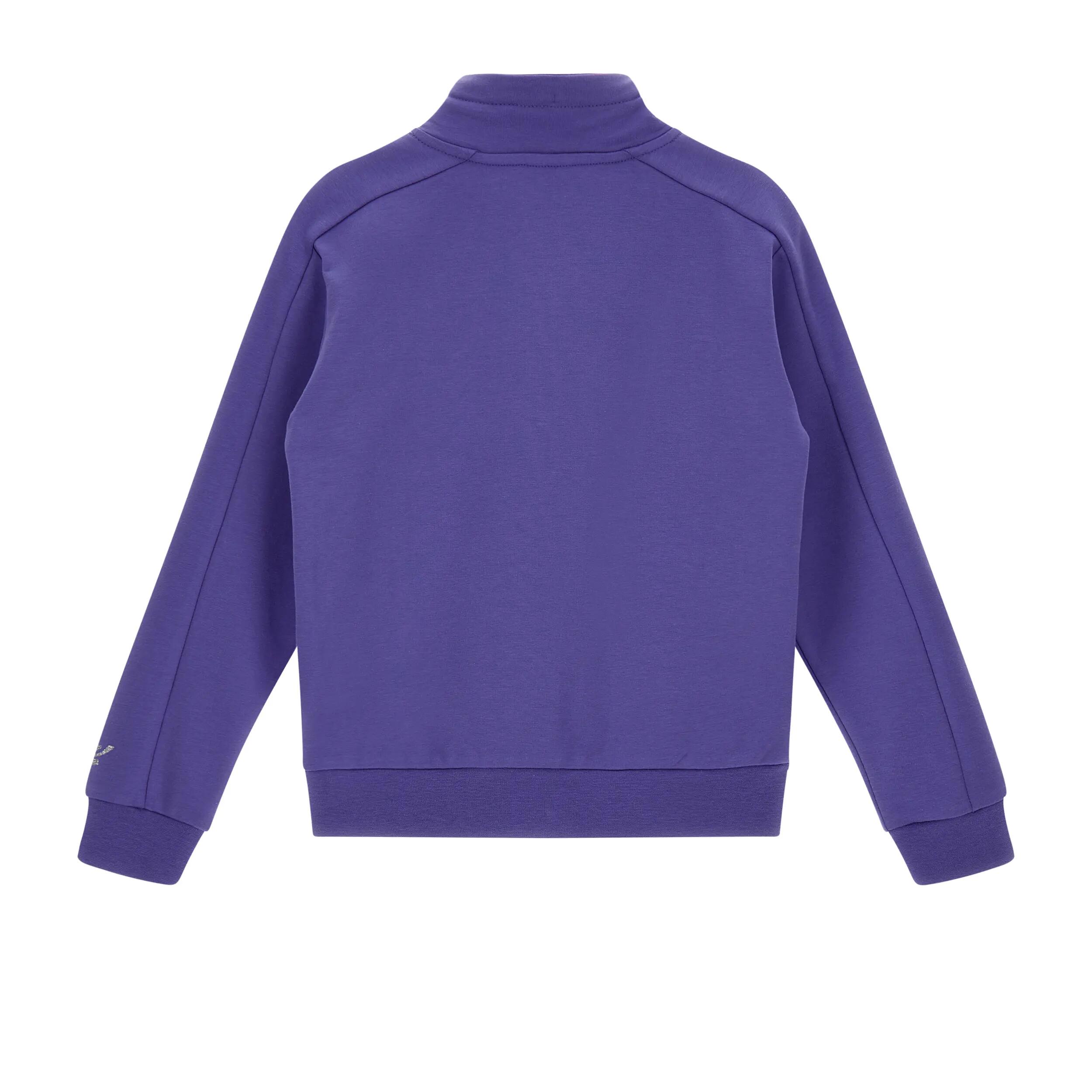 Felpa full-zip con cuciture stondate a blocchi 2/2