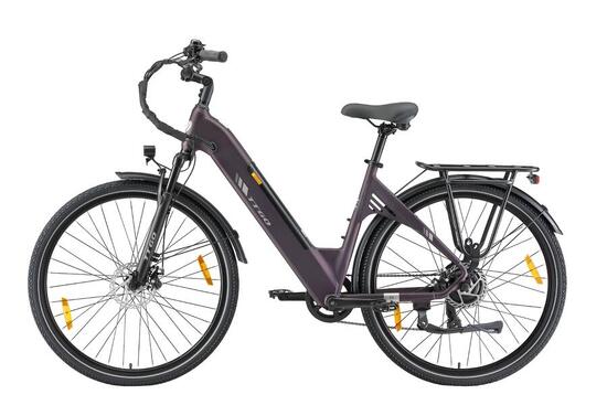C3SE Bici elettrica 28" 36V 250W 120km Shimano 7 velocità città