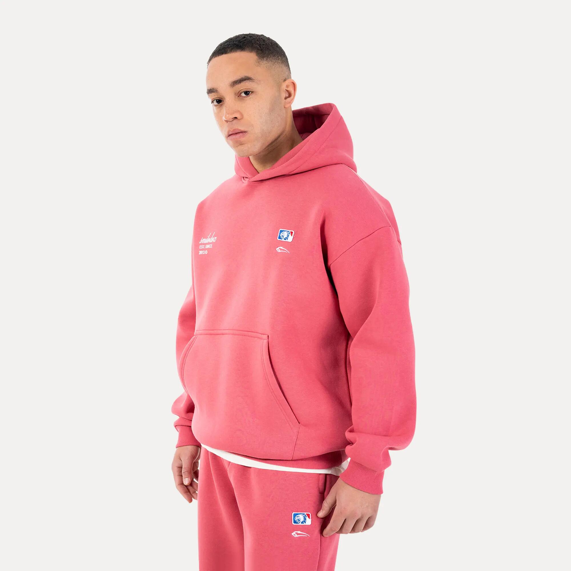 Herren Hoodie Striver Altrosa 2/6