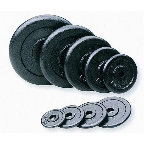 Coppia dischi ghisa con foro da 25 mm