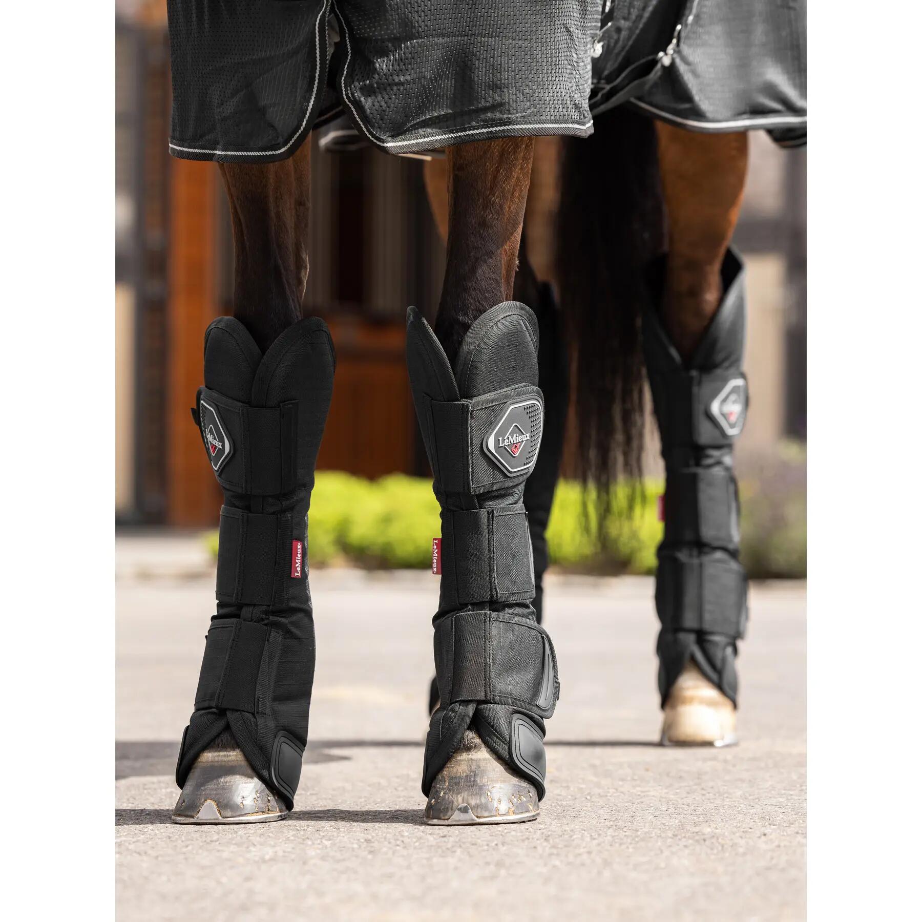 Stalschoenen voor paarden LeMieux 3/7