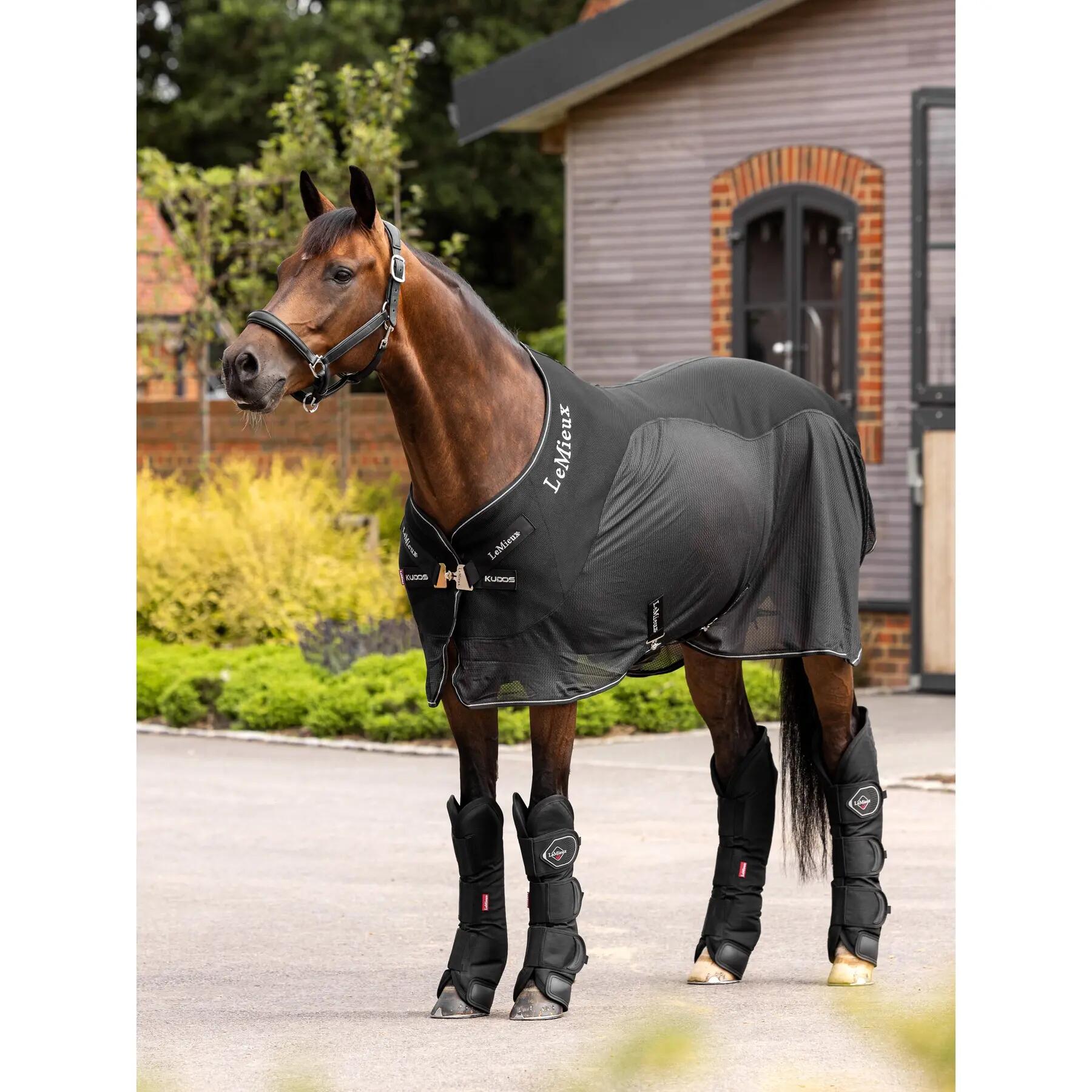 Stalschoenen voor paarden LeMieux 2/7