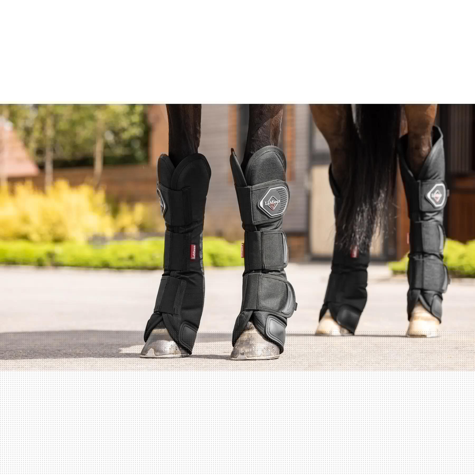 Stalschoenen voor paarden LeMieux 7/7