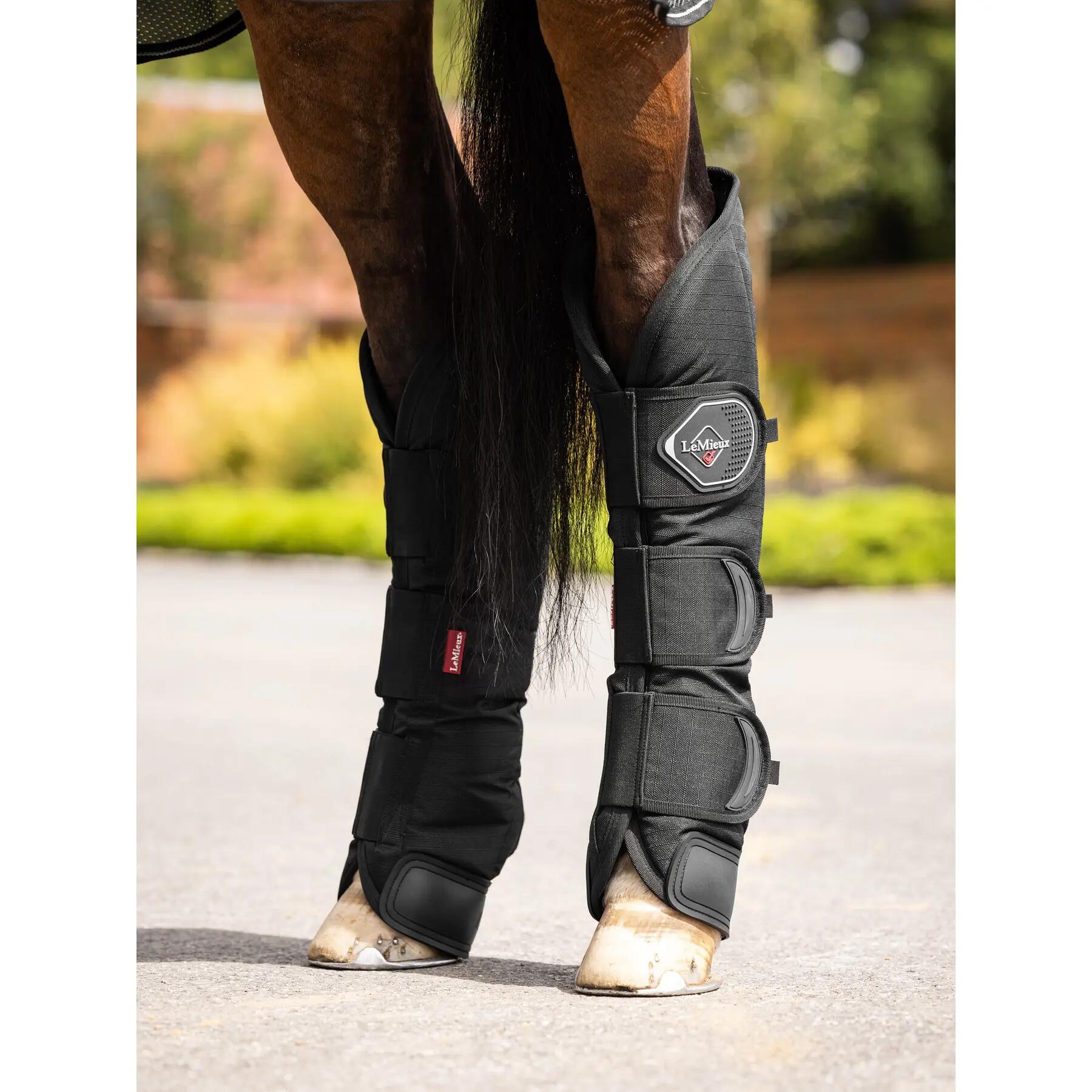 Stalschoenen voor paarden LeMieux 6/7