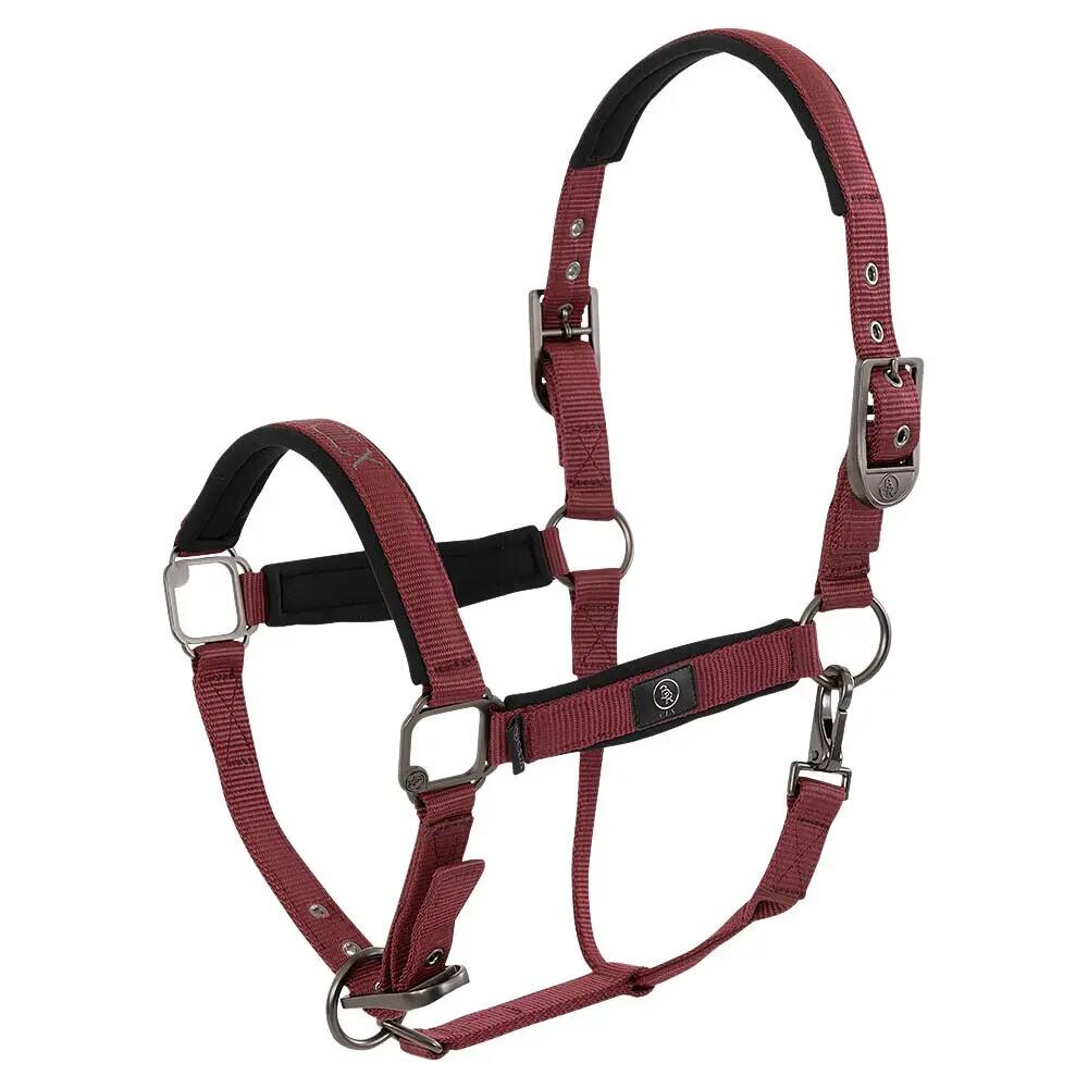 Halter for horse BR Equitation CLX
