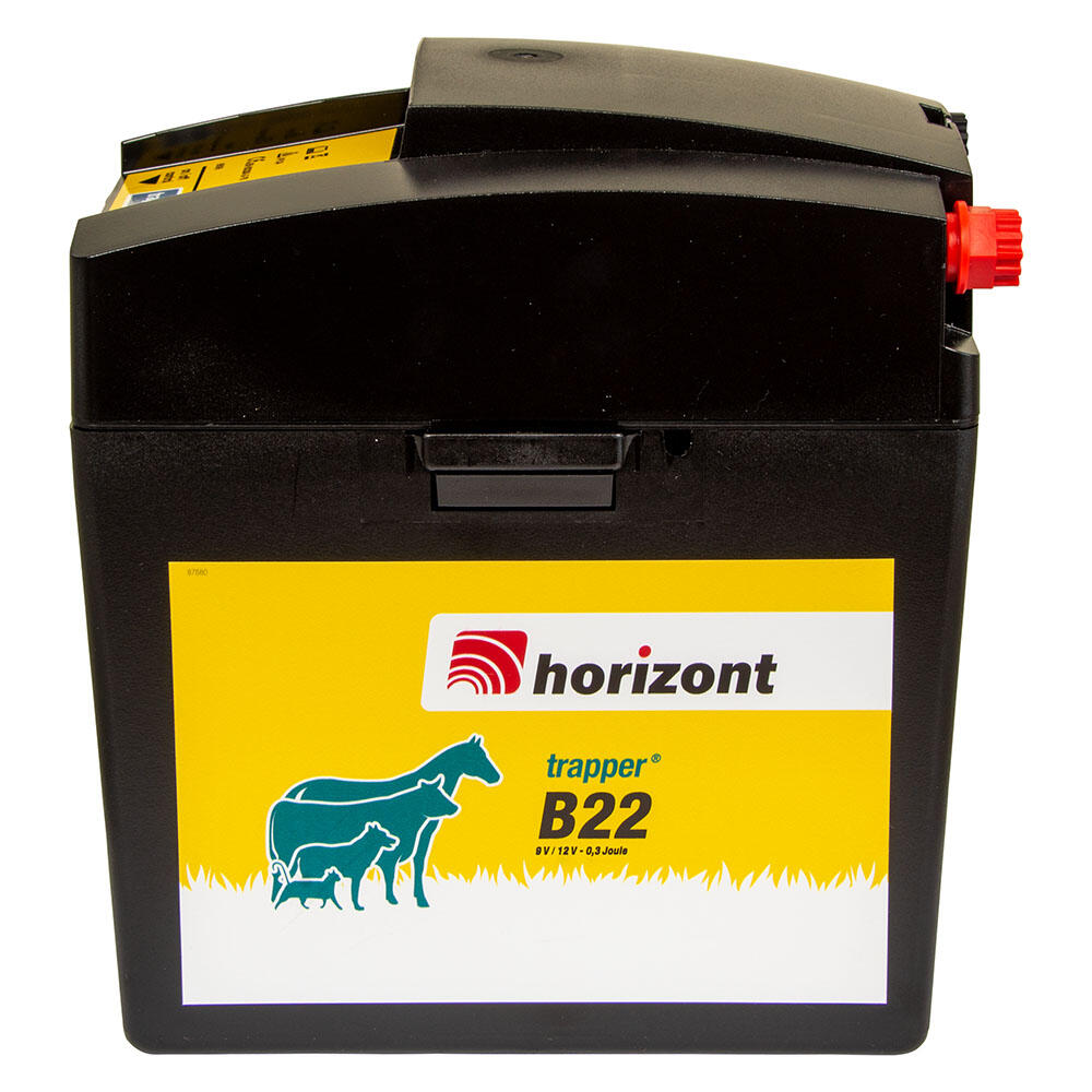 HORIZONT picture