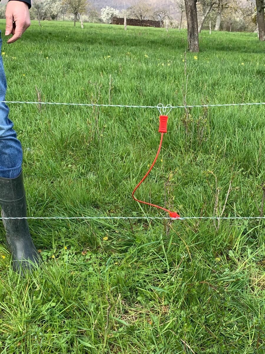 Interline-kabel met dubbele kern Horizont 3/3