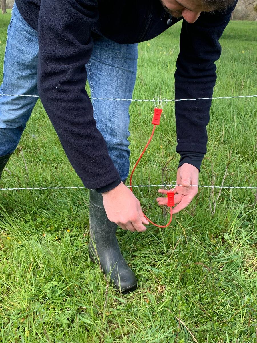Interline-kabel met dubbele kern Horizont 2/3
