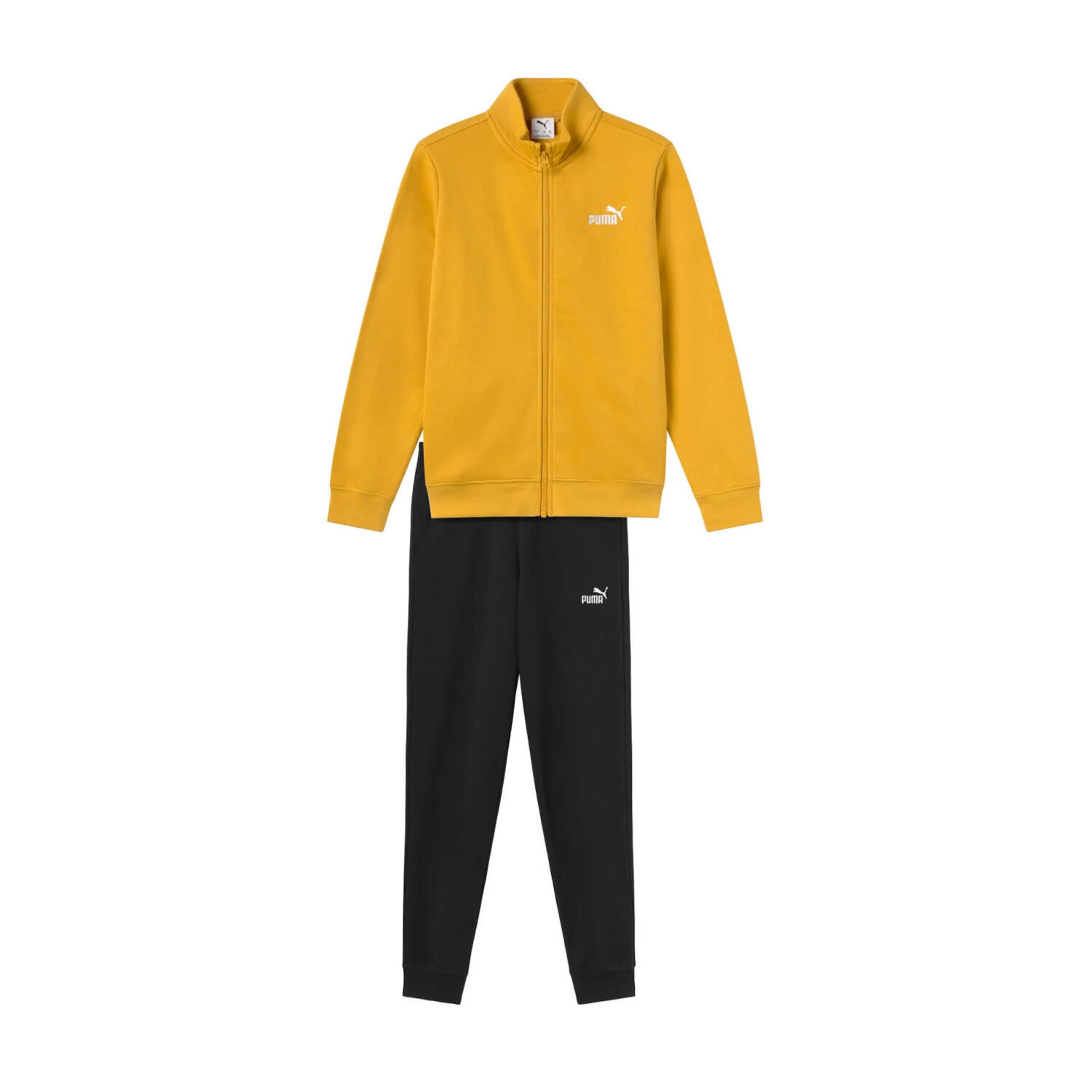 PUMA picture