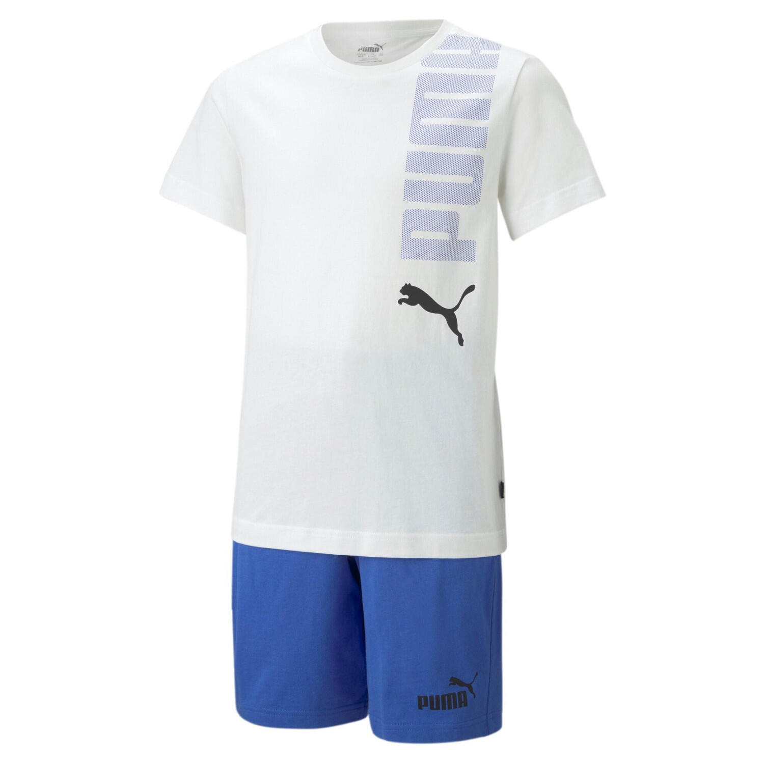 PUMA picture