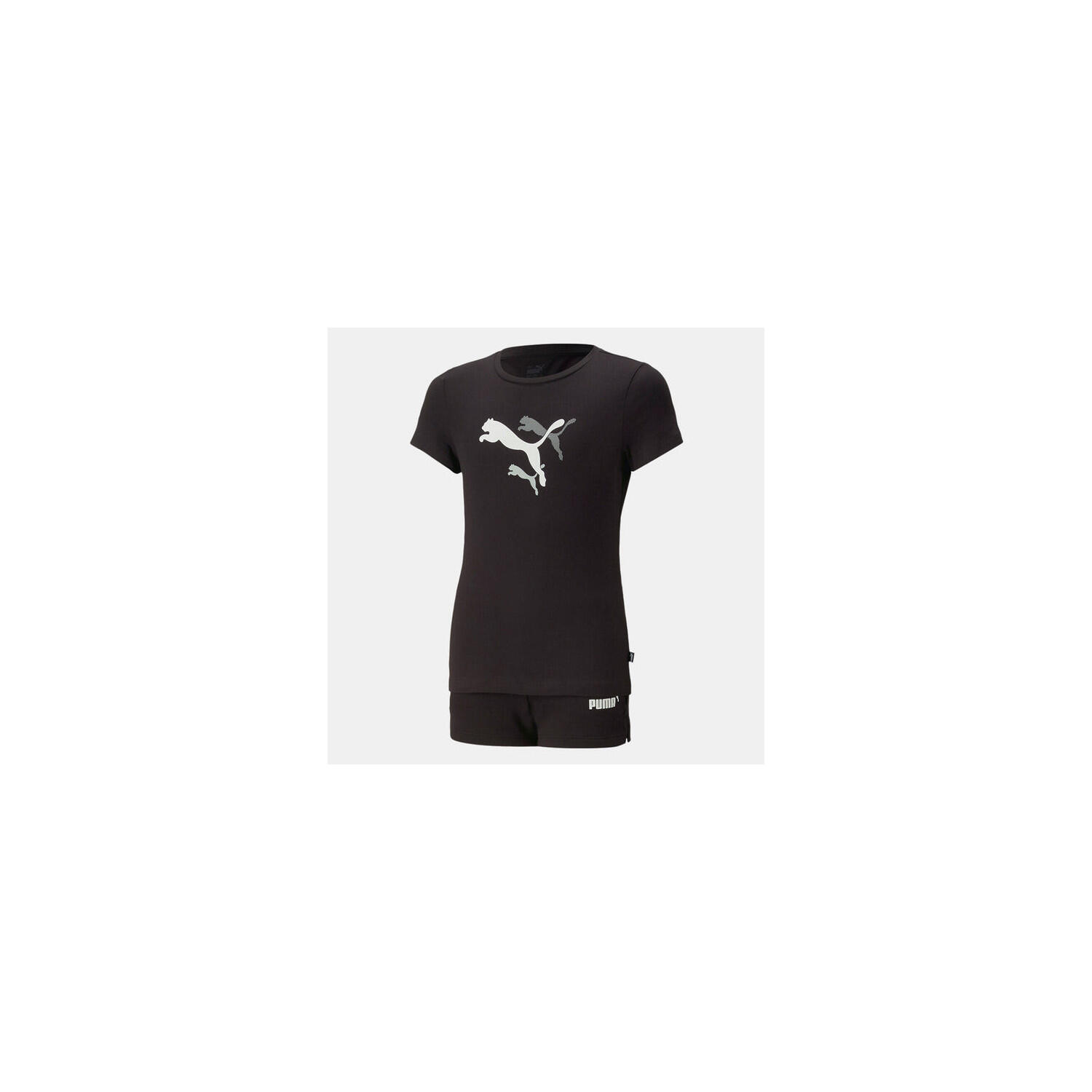 PUMA picture
